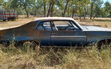 Chevrolet-nova-hatchback-1974-blue-1