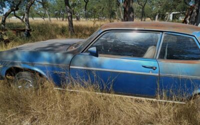 Chevrolet nova hatchback 1974