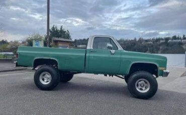 Chevrolet-rv-20-series-1987-green-12