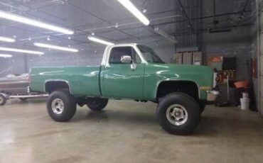 Chevrolet-rv-20-series-1987-green-14