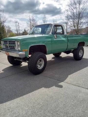 Chevrolet-rv-20-series-1987-green-28