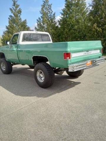 Chevrolet-rv-20-series-1987-green-8