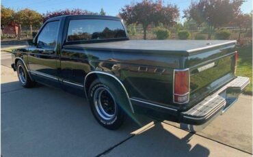 Chevrolet-s-10-1991-119