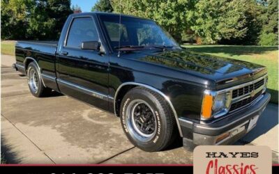 Chevrolet s-10 1991