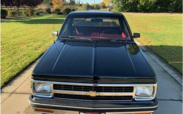 Chevrolet-s-10-1991-63