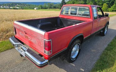 Chevrolet-s-10-pickup-12-ton-1983-red-28