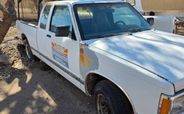 Chevrolet-s-10-pickup-12-ton-nominal-1991-white-2