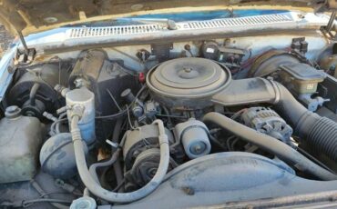 Chevrolet-s-10-pickup-12-ton-nominal-1991-white