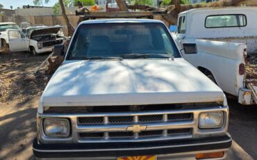 Chevrolet-s-10-pickup-12-ton-nominal-1991-white-4