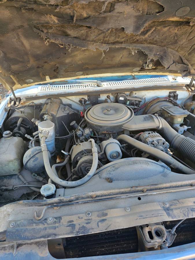 Chevrolet-s-10-pickup-12-ton-nominal-1991-white
