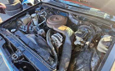 Chevrolet-s-10-pickup-1993-black-17