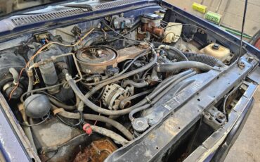 Chevrolet-s-10-pickup-small-conventional-cab-1987-blue-7