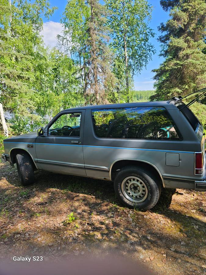 Chevrolet-s10-blazer-4x4-1987-grey-11