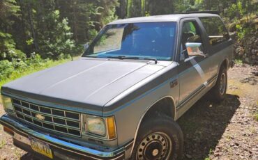 Chevrolet-s10-blazer-4x4-1987-grey-13