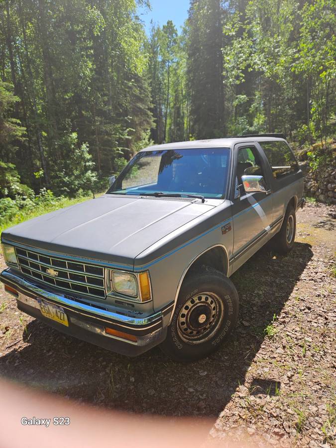 Chevrolet-s10-blazer-4x4-1987-grey-13