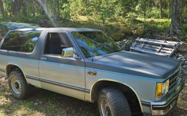 Chevrolet-s10-blazer-4x4-1987-grey-6