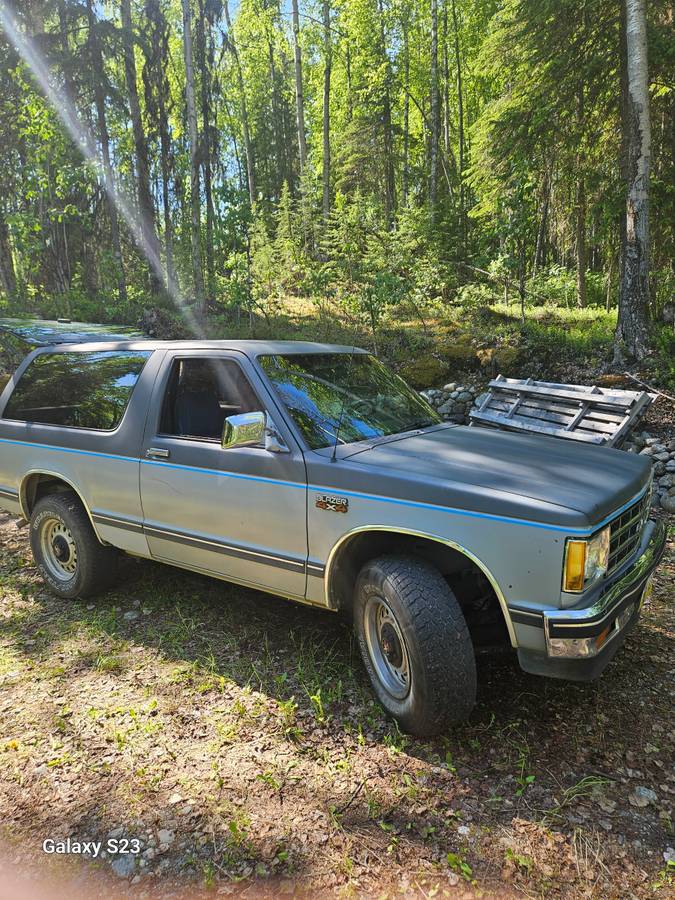 Chevrolet-s10-blazer-4x4-1987-grey-6