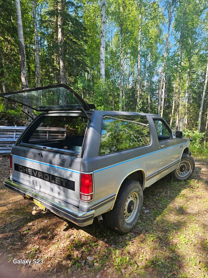 Chevrolet-s10-blazer-4x4-1987-grey-7