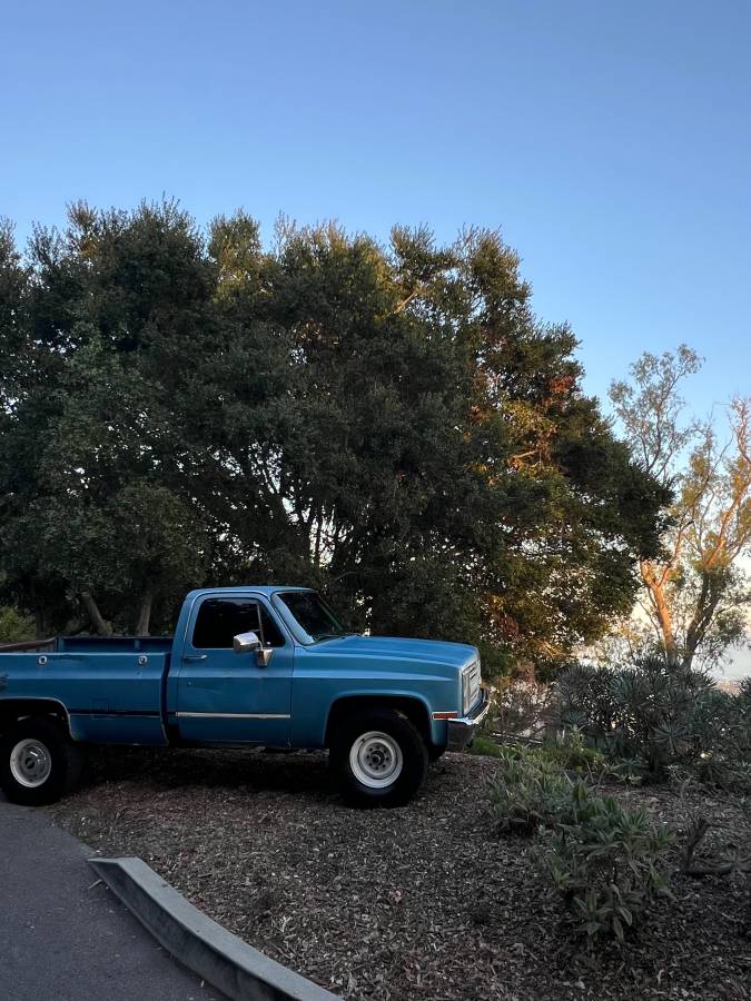 Chevrolet-scottsdale-1987-13