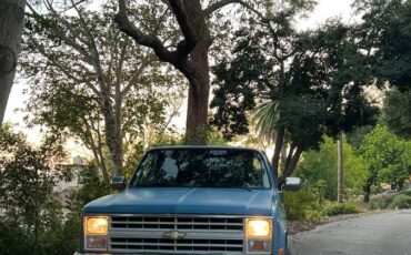 Chevrolet-scottsdale-1987-16