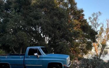 Chevrolet-scottsdale-1987-2