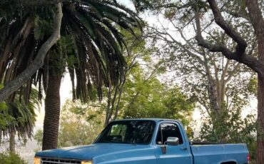 Chevrolet-scottsdale-1987-5