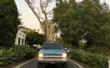 Chevrolet-scottsdale-1987-7