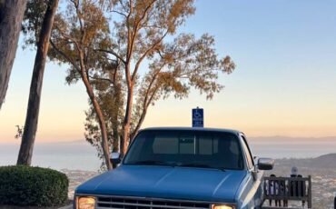 Chevrolet-scottsdale-1987-9