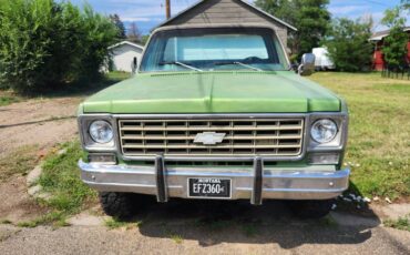 Chevrolet-silverado-1500-1975-green-2