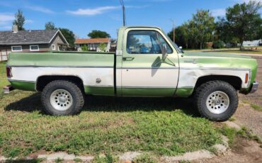Chevrolet-silverado-1500-1975-green-3