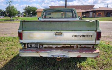 Chevrolet-silverado-1500-1975-green