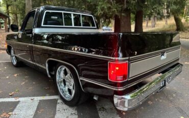 Chevrolet-silverado-1500-1980-black-11