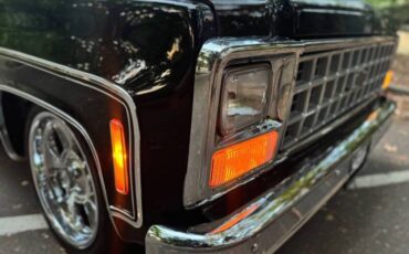 Chevrolet-silverado-1500-1980-black-16