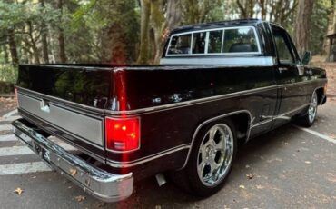 Chevrolet-silverado-1500-1980-black-4