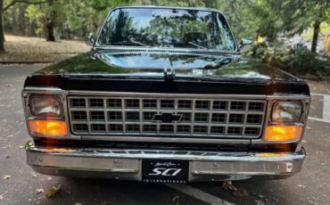 Chevrolet-silverado-1500-1980-black-50