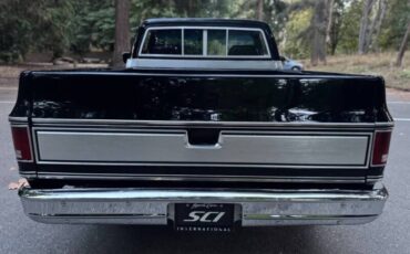 Chevrolet-silverado-1500-1980-black-51