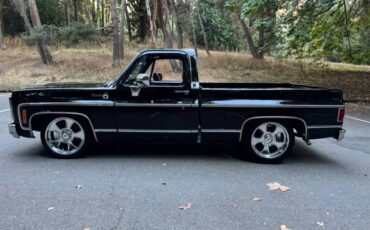 Chevrolet-silverado-1500-1980-black-56