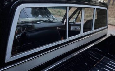 Chevrolet-silverado-1500-1980-black-8