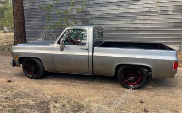 Chevrolet-silverado-1500-1980-silver-10