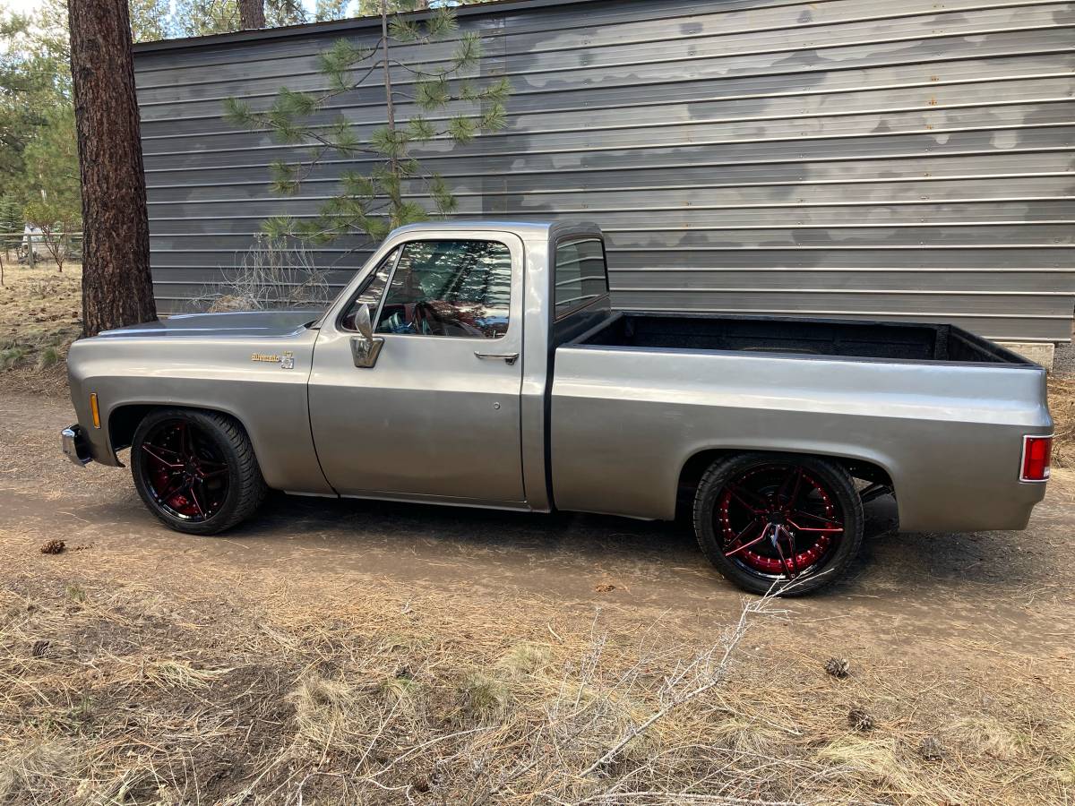 Chevrolet-silverado-1500-1980-silver-10