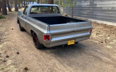 Chevrolet-silverado-1500-1980-silver