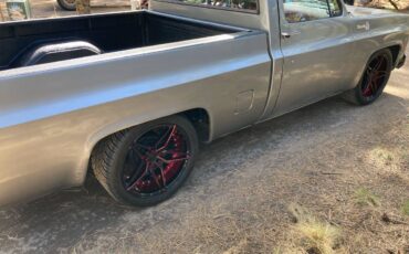 Chevrolet-silverado-1500-1980-silver-5