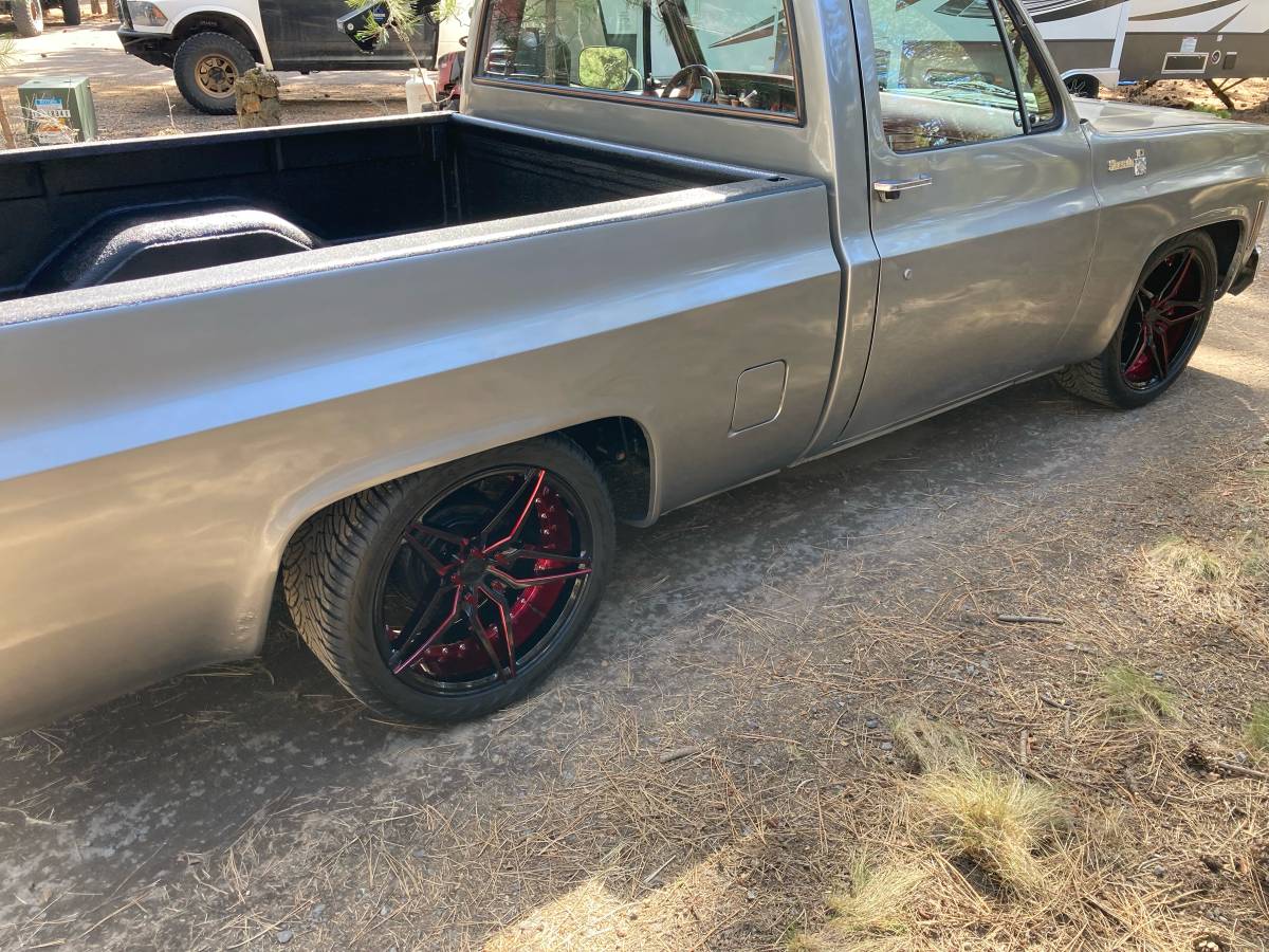 Chevrolet-silverado-1500-1980-silver-5