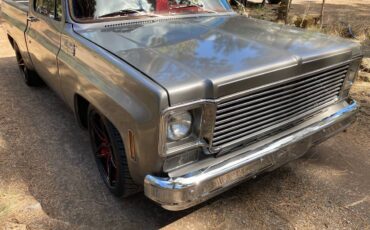 Chevrolet-silverado-1500-1980-silver-6