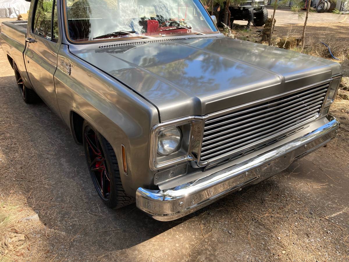 Chevrolet-silverado-1500-1980-silver-6