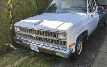 Chevrolet-silverado-1500-1981-white