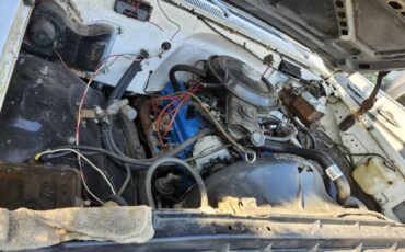 Chevrolet-silverado-1500-1981-white-7