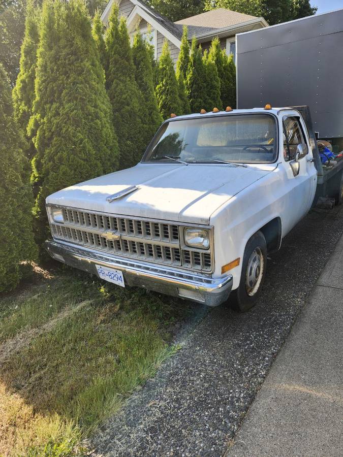Chevrolet-silverado-1500-1981-white