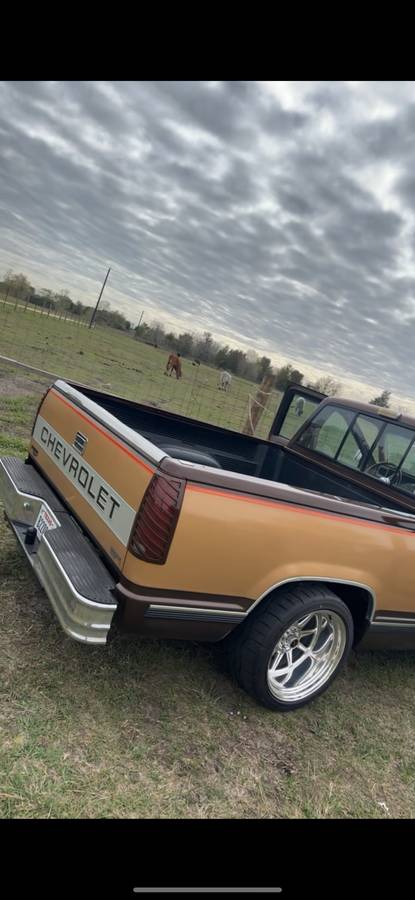 Chevrolet-silverado-1500-1988-brown-2