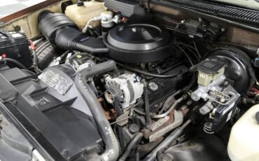 Chevrolet-silverado-1500-1988-brown-6